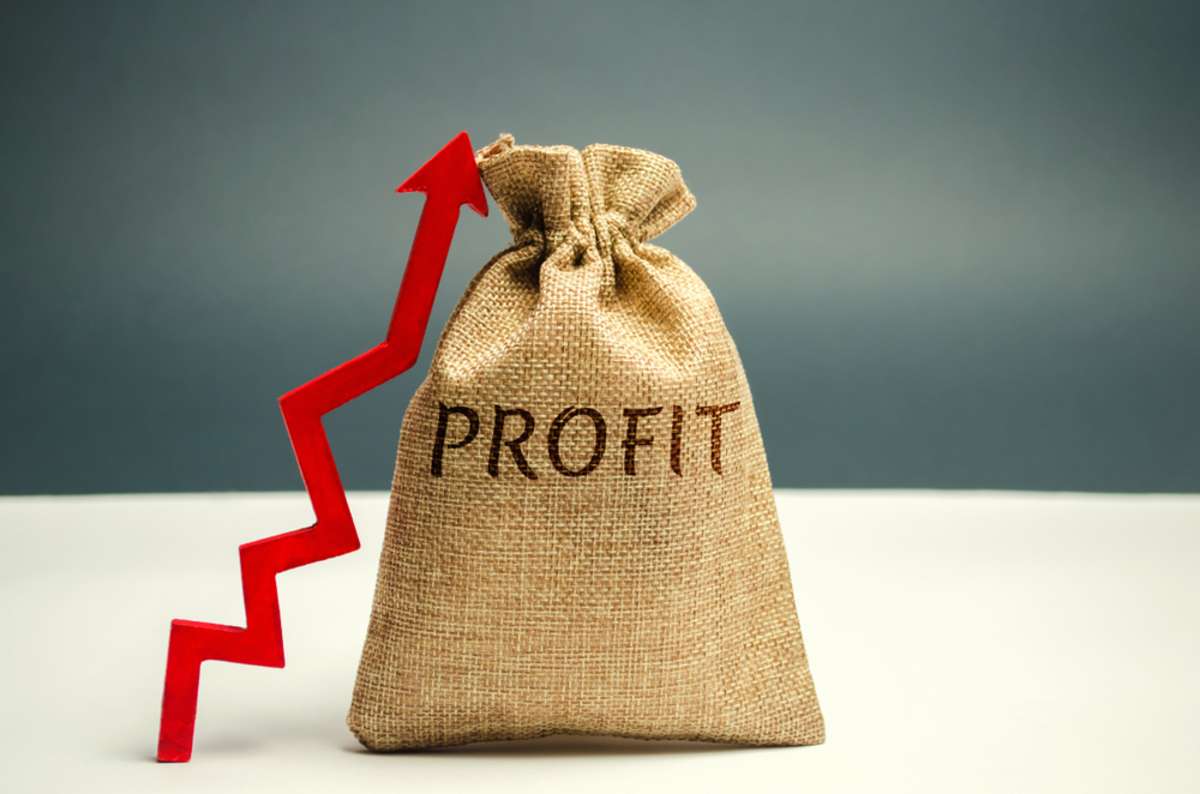 Money bag with the word profit and an up arrow., profitability concept